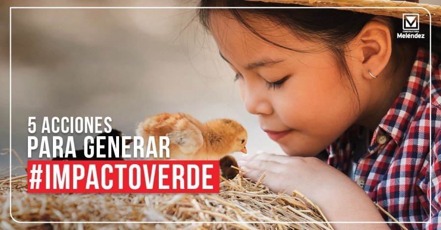 Cómo preservar la biodiversidad desde casa: 5 acciones para enseñar a toda la familia